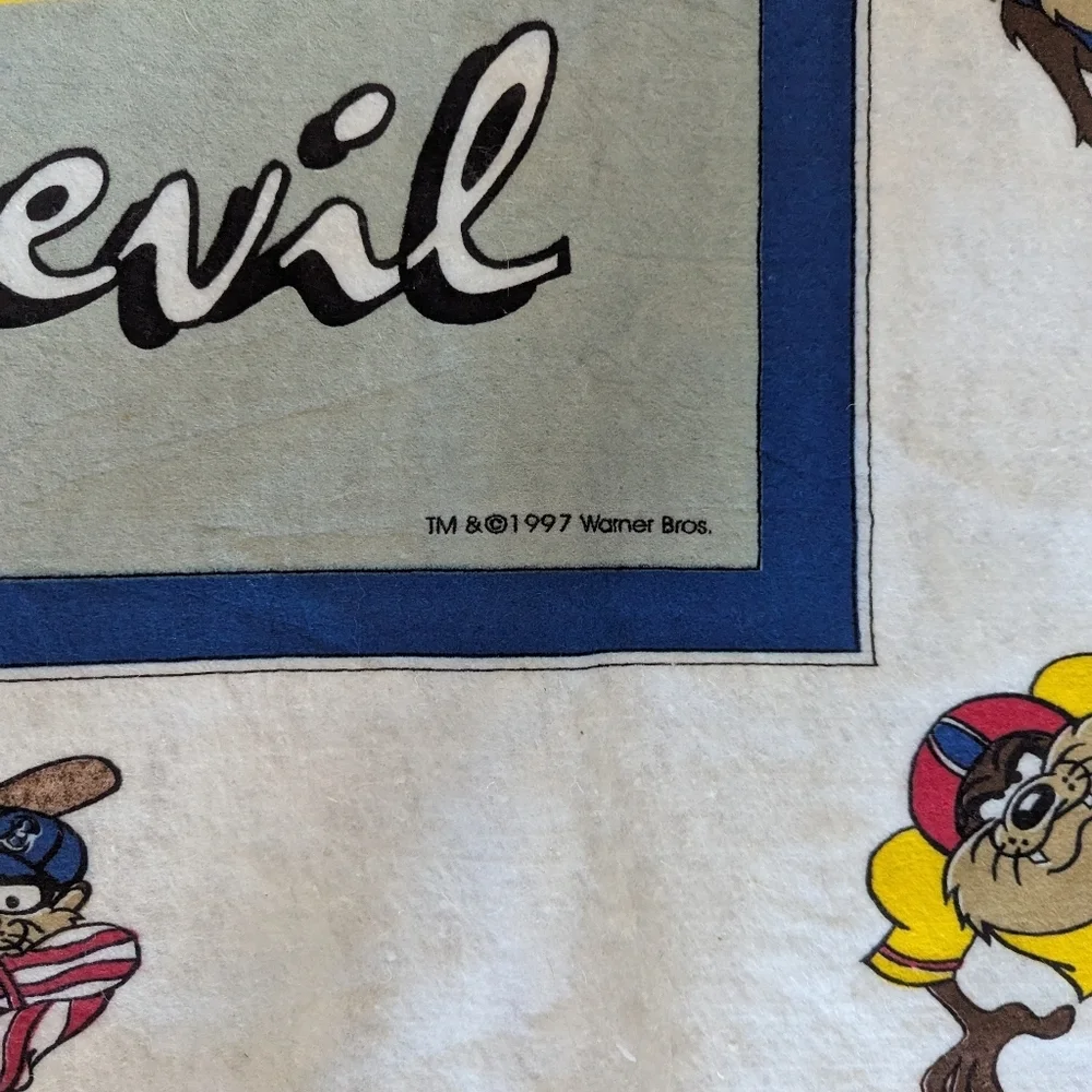 Vintage 1997 Fleece Taz The Tasmanian Devil Blanket. Sporty Taz.